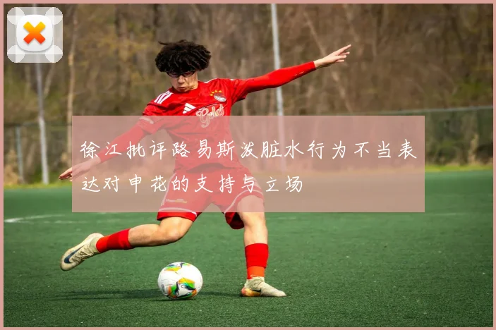 徐江批评路易斯泼脏水行为不当表达对申花的支持与立场